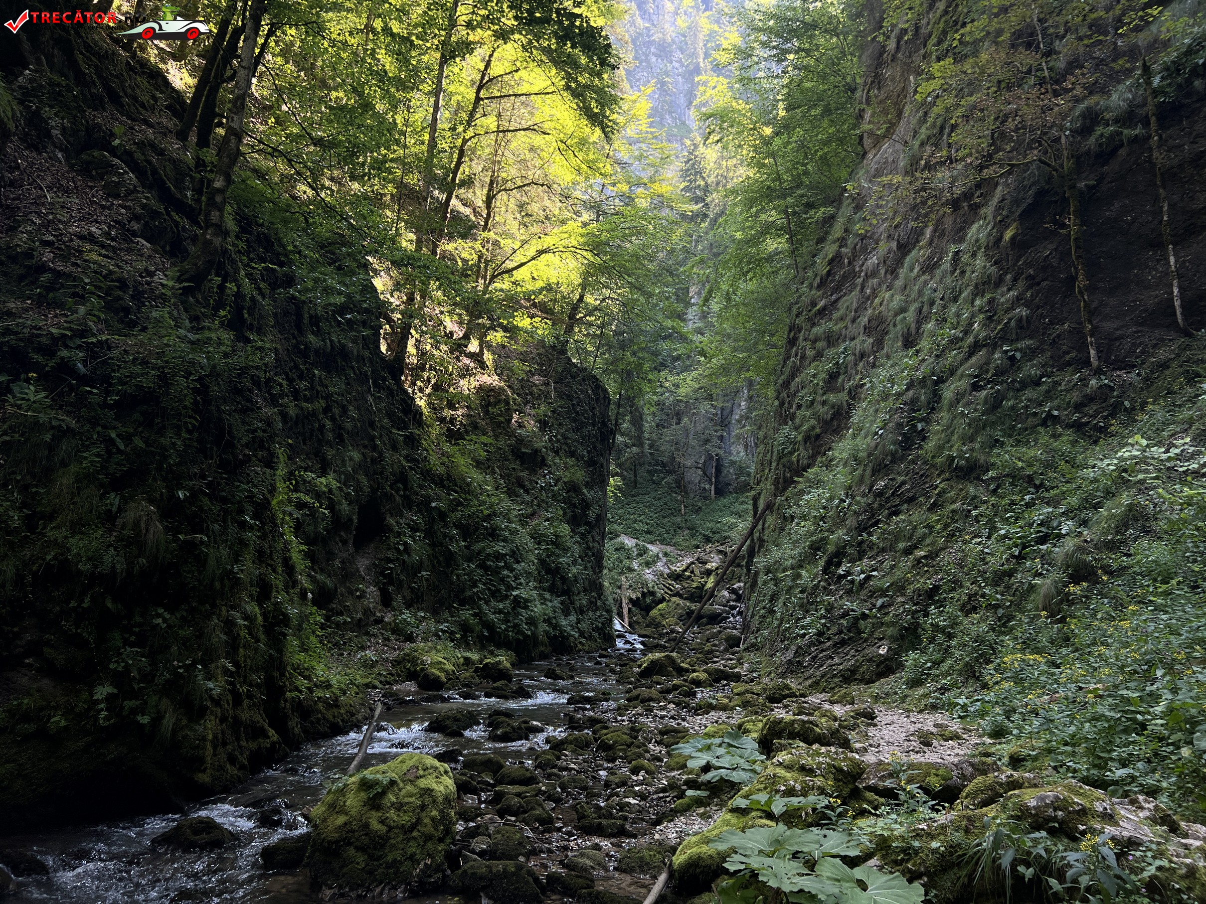 Cheile Galbenei Galerie Foto Imagini Cu Obiective Turistice