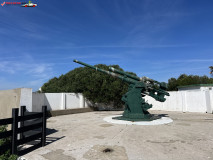 100 Ton Gun Napier of Magdala Battery, Gibraltar 19