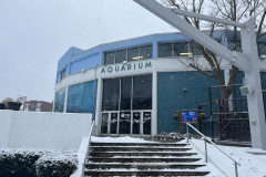 Aquarium of Niagara, New York 04