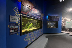 Aquarium of Niagara, New York 13