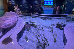 Aquarium of Niagara, New York 21
