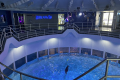 Aquarium of Niagara, New York 22