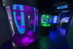 Aquarium of Niagara, New York 25