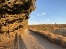 Avakas Gorge Canyon, Cipru 01