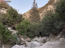 Avakas Gorge Canyon, Cipru 14