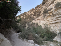 Avakas Gorge Canyon, Cipru 19