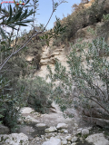 Avakas Gorge Canyon, Cipru 20