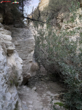 Avakas Gorge Canyon, Cipru 23