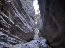 Avakas Gorge Canyon, Cipru 45