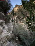 Avakas Gorge Canyon, Cipru 49