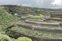 Barranco de la Arena, Tenerife 20