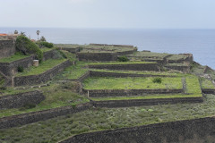 Barranco de la Arena, Tenerife 24