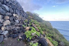 Barranco de la Arena, Tenerife 48