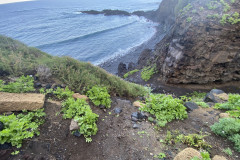 Barranco de la Arena, Tenerife 50