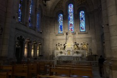 Basilica Sacre Coeur din Paris 113