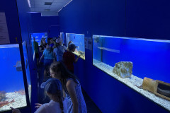 Baska Aquarium 14