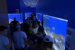 Baska Aquarium 22