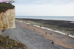 Birling Gap and the Seven Sisters Anglia 13