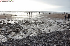 Birling Gap and the Seven Sisters Anglia 29