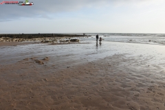 Birling Gap and the Seven Sisters Anglia 38