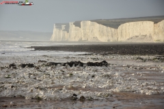 Birling Gap and the Seven Sisters Anglia 40
