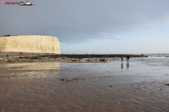 Birling Gap and the Seven Sisters Anglia 41