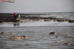 Birling Gap and the Seven Sisters Anglia 43