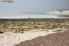 Birling Gap and the Seven Sisters Anglia 65