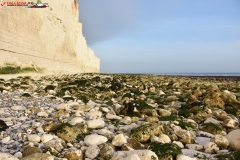 Birling Gap and the Seven Sisters Anglia 86