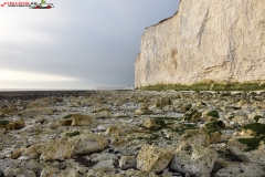 Birling Gap and the Seven Sisters Anglia 90