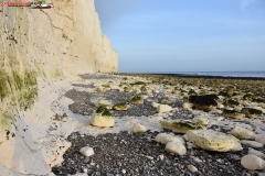 Birling Gap and the Seven Sisters Anglia 94
