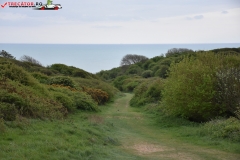 Birling Gap and the Seven Sisters Anglia 011