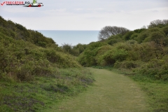 Birling Gap and the Seven Sisters Anglia 014