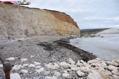 Birling Gap and the Seven Sisters Anglia 038
