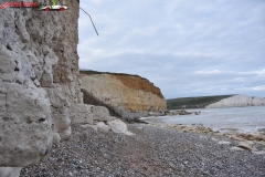 Birling Gap and the Seven Sisters Anglia 044