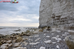 Birling Gap and the Seven Sisters Anglia 045