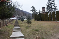 Mănăstirea Bolnița 01