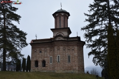 Mănăstirea Bolnița 03