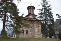 Mănăstirea Bolnița 05