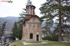 Mănăstirea Bolnița 07