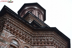 Mănăstirea Bolnița 17