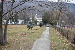 Mănăstirea Bolnița 20