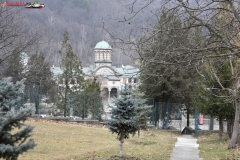 Mănăstirea Bolnița 21