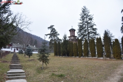 Mănăstirea Bolnița 22