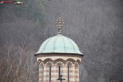 Mănăstirea Bolnița 23