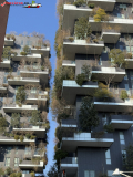 Bosco Verticale din Milano 25