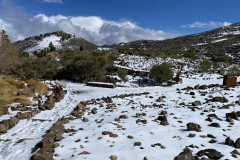 Botanical Garden de El Portillo, Tenerife 13