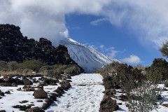 Botanical Garden de El Portillo, Tenerife 16