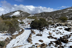 Botanical Garden de El Portillo, Tenerife 17