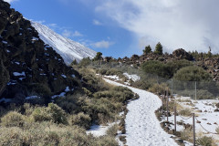 Botanical Garden de El Portillo, Tenerife 22